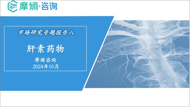 《2024年市场研究专题报告八-肝素药物-摩熵咨询-27页》 - 第1页预览图