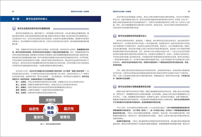 《2022数字生态指数-北京大学-2022.11-68页》 - 第6页预览图