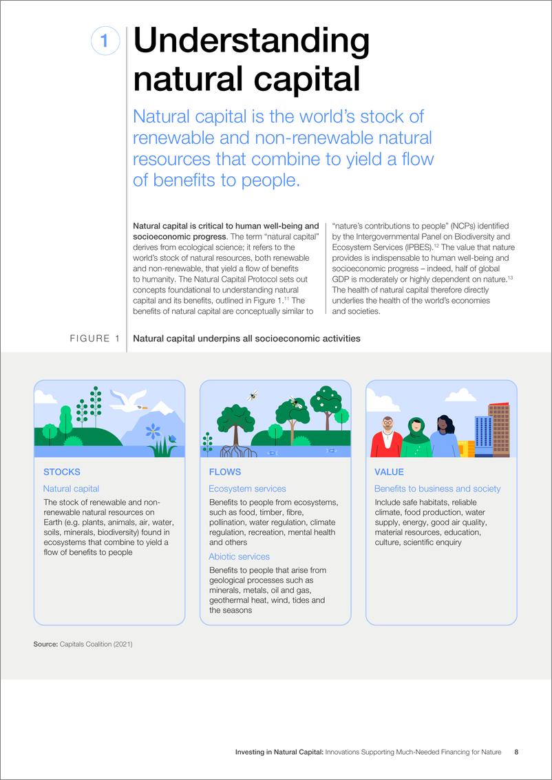 《世界经济论坛-投资自然资本：支持自然急需融资的创新（英）-2024.9-34页》 - 第8页预览图