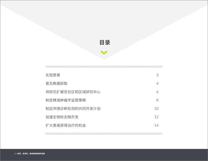 《新药、新洞见推动精准肿瘤学发展》 - 第2页预览图