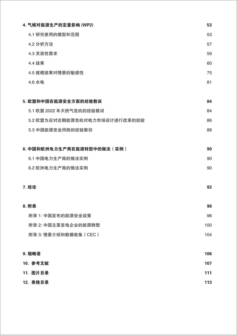 《中欧能源合作平台：2023能源转型背景下的能源安全—欧洲和中国的经验教训与挑战》 - 第4页预览图