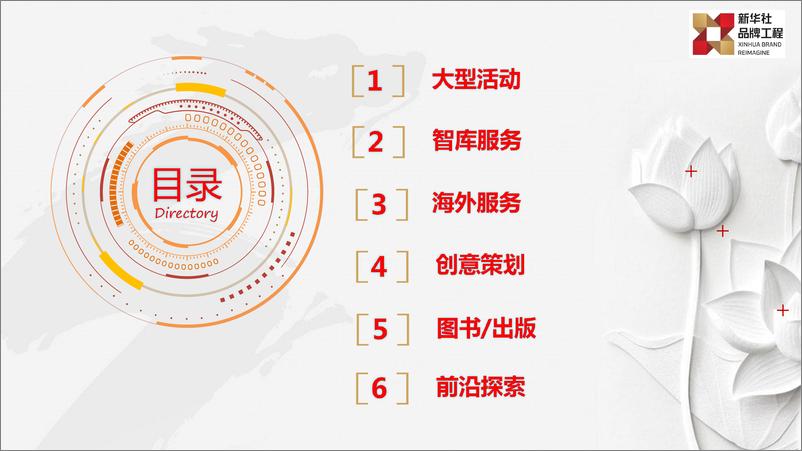 《新华社重大IP项目合作案例回顾》 - 第4页预览图