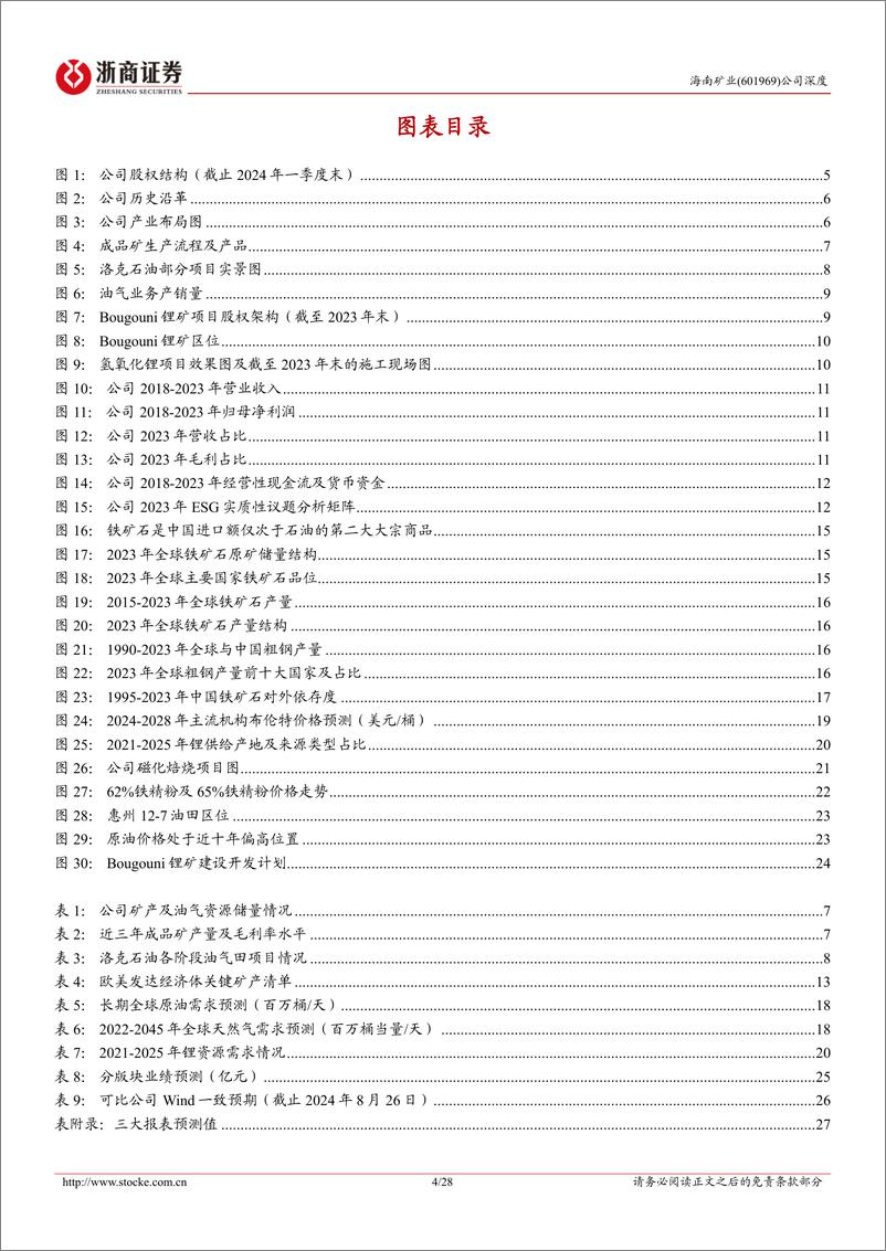 《海南矿业(601969)首次覆盖报告：铁矿%2b油气%2b锂，背靠复星资源启航-240827-浙商证券-28页》 - 第4页预览图