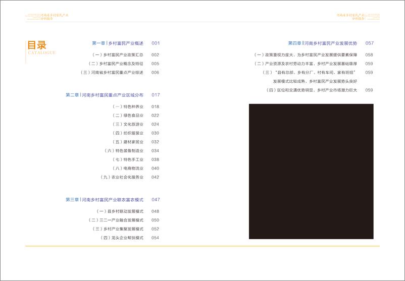 《河南省乡村富民产业分析报告-65页》 - 第3页预览图