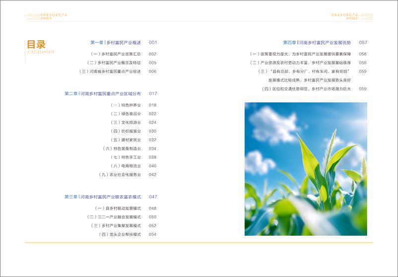 《河南省乡村富民产业分析报告-65页》 - 第4页预览图