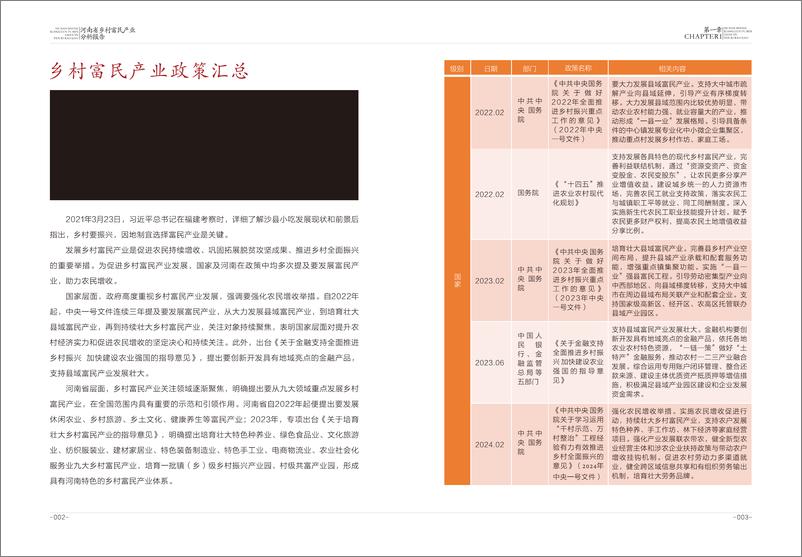 《河南省乡村富民产业分析报告-65页》 - 第8页预览图