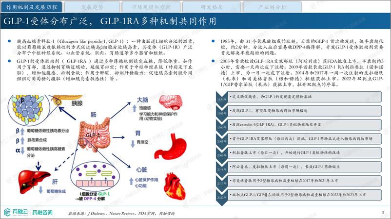 《降糖减重明星药—GLP-1产业现状与未来发展报告-药融咨询》 - 第3页预览图