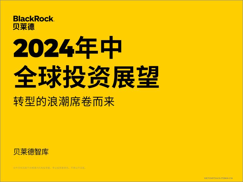 《2024年中全球投资展望-16页》 - 第1页预览图