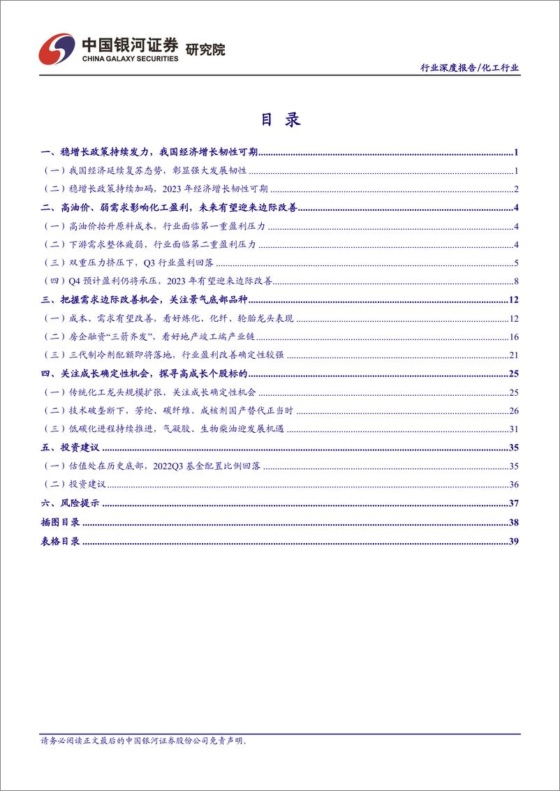 《化工行业2023年年度策略报告：关注景气底部品种，探寻高成长个股标的-20221212-银河证券-44页》 - 第4页预览图