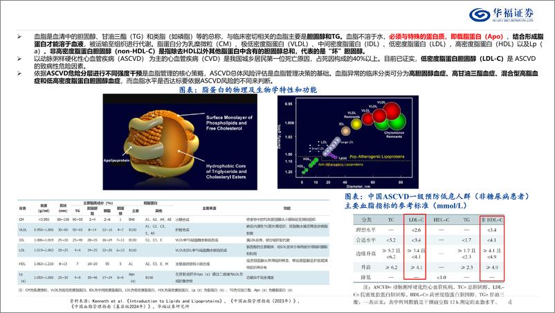 《降脂药行业深度：庞大患者群体，前沿靶点迎来新突破-250108-华福证券-38页》 - 第4页预览图