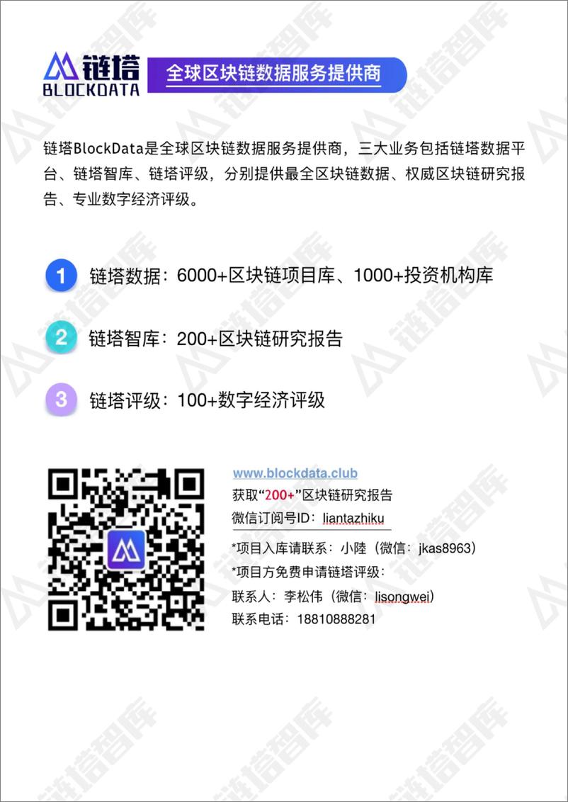 《2019数字经济新能源蓝皮书PDF》 - 第2页预览图