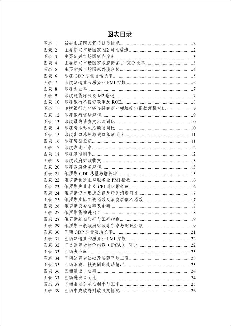 《新世纪评级-2019新兴市场国家经济分析与展望-2019.1-43页》 - 第5页预览图