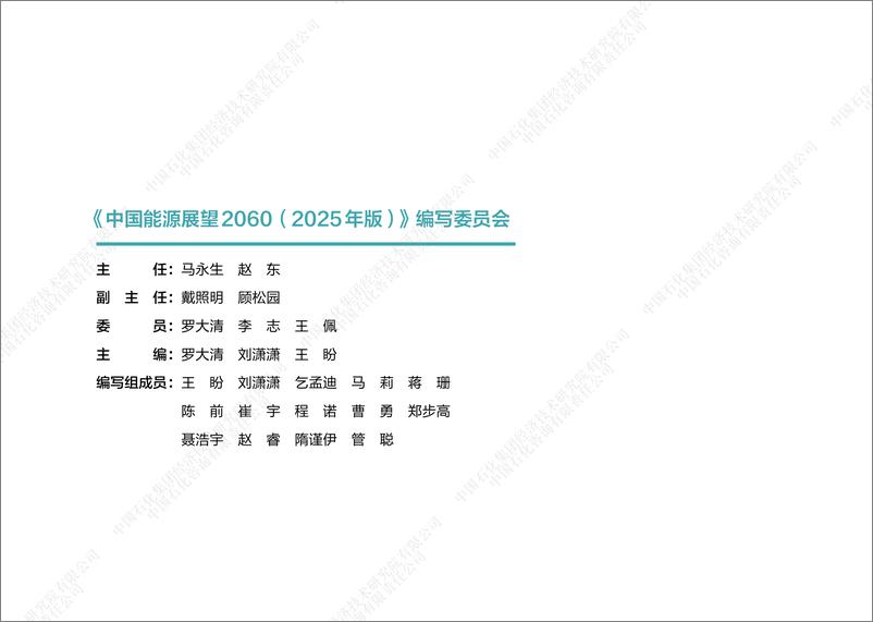 《中国能源展望2060（2025年版）-中国石化-2024-106页》 - 第2页预览图