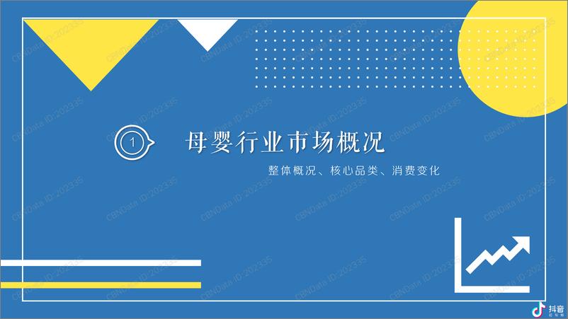 《2019抖音母婴群体分析报告》 - 第5页预览图