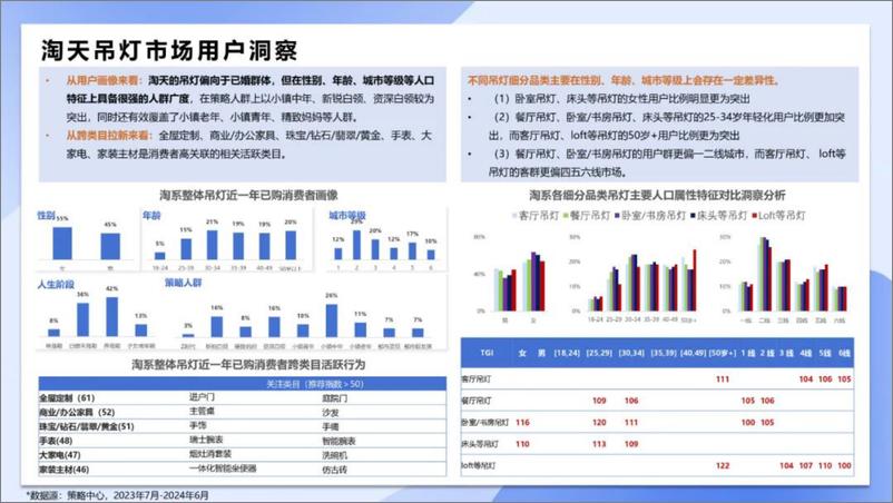 《天猫_2024天猫淘宝吊灯市场趋势报告白皮书》 - 第4页预览图