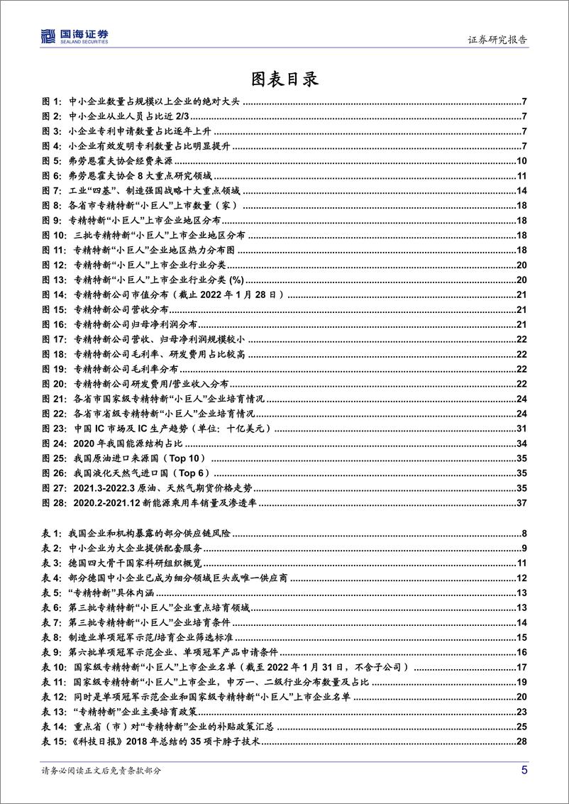 《专精特新行业深度研究：补链强链，兴国安邦-20220325-国海证券-49页》 - 第6页预览图