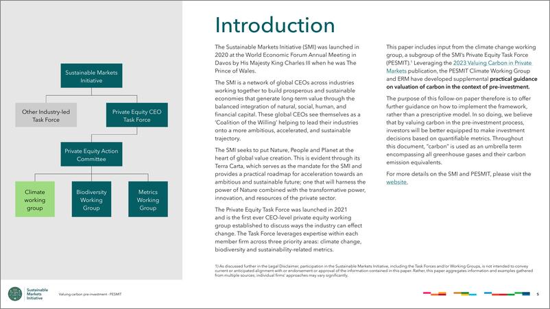 《2024年碳投资前估价私募股权可持续市场倡议_PESMIT_报告》 - 第5页预览图