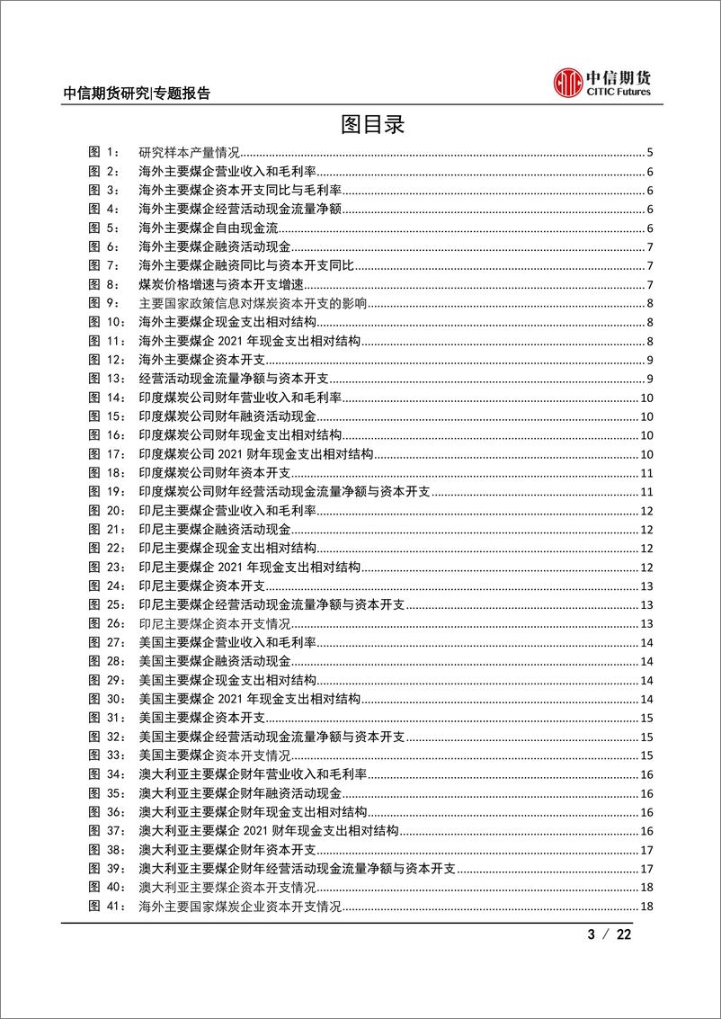 《能源与碳中和专题报告：从企业财务状况看煤炭资本开支及产量展望之海外篇-20221031-中信期货-22页》 - 第4页预览图