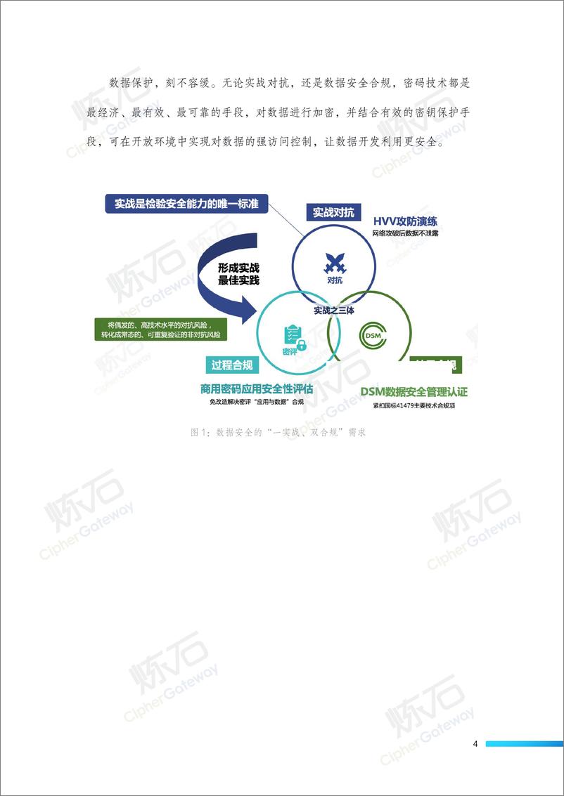 《炼石-数据存储加密技术白皮书V1.1-27页》 - 第4页预览图