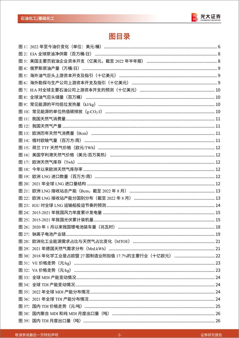 《石油化工&基础化工行业2023年投资策略：把握能源结构转型机遇，紧抓国产替代加速良机-20221130-光大证券-46页》 - 第4页预览图