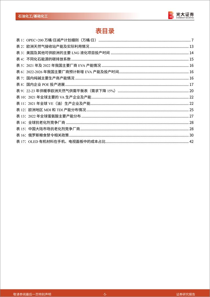 《石油化工&基础化工行业2023年投资策略：把握能源结构转型机遇，紧抓国产替代加速良机-20221130-光大证券-46页》 - 第6页预览图