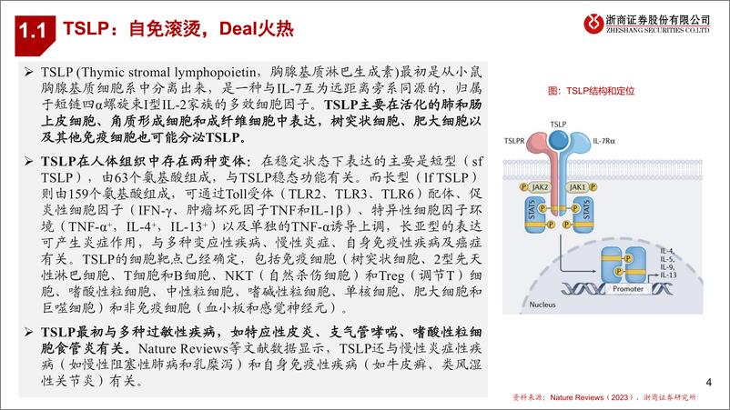 《医药行业：创新药靶点手册-240626-浙商证券-62页》 - 第4页预览图