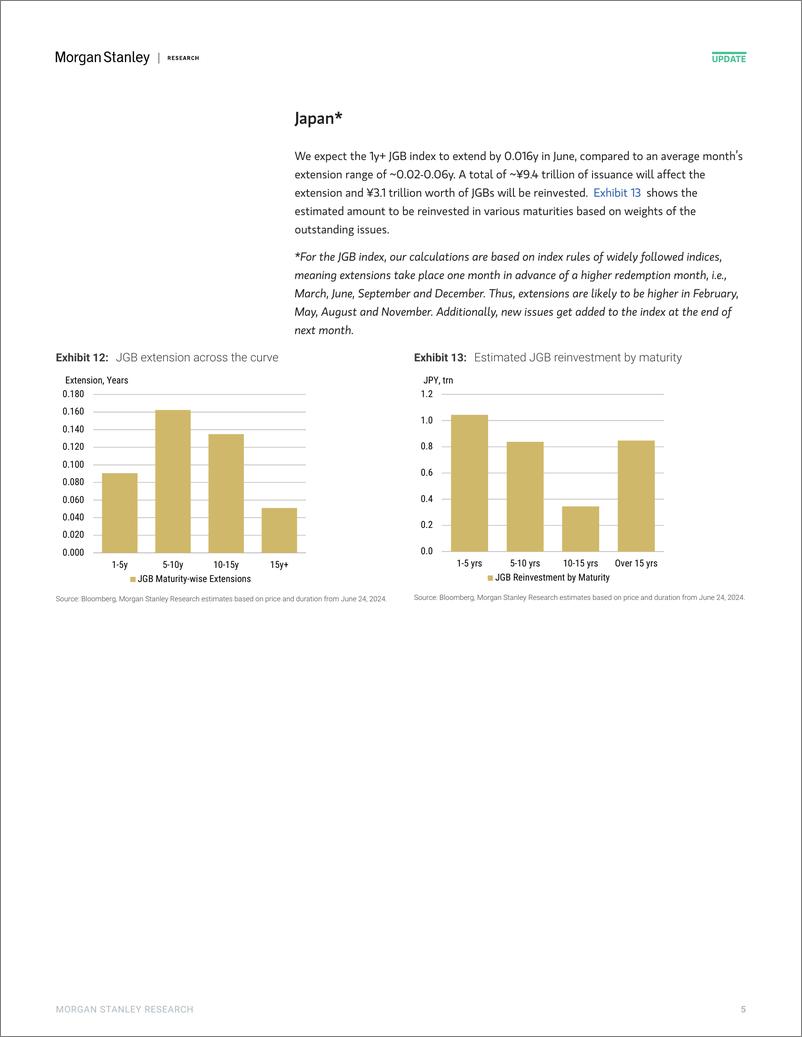 《Morgan Stanley Fixed-Global Macro Strategy June Index Extensions-108834762》 - 第5页预览图