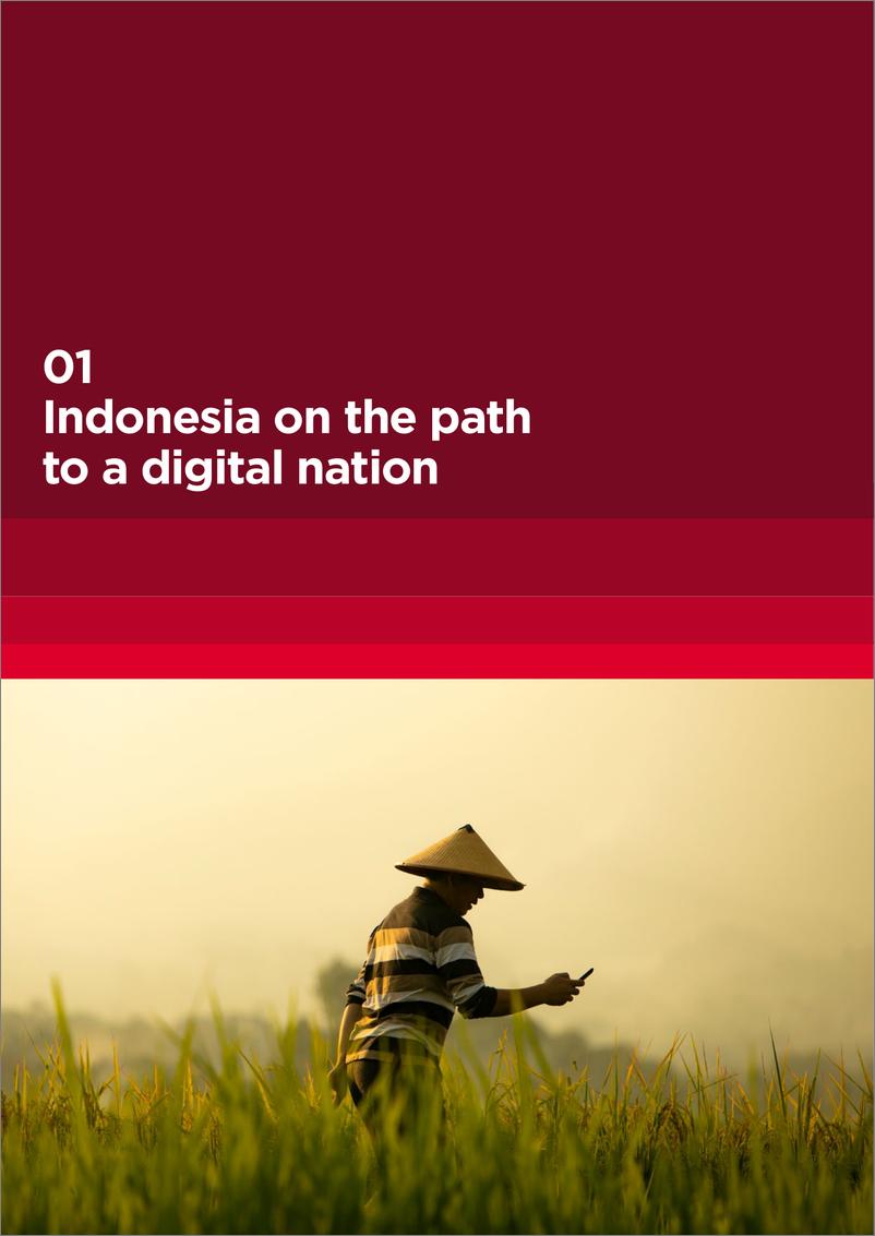 《印尼的未来：打造一个有弹性的数字国家》 - 第6页预览图