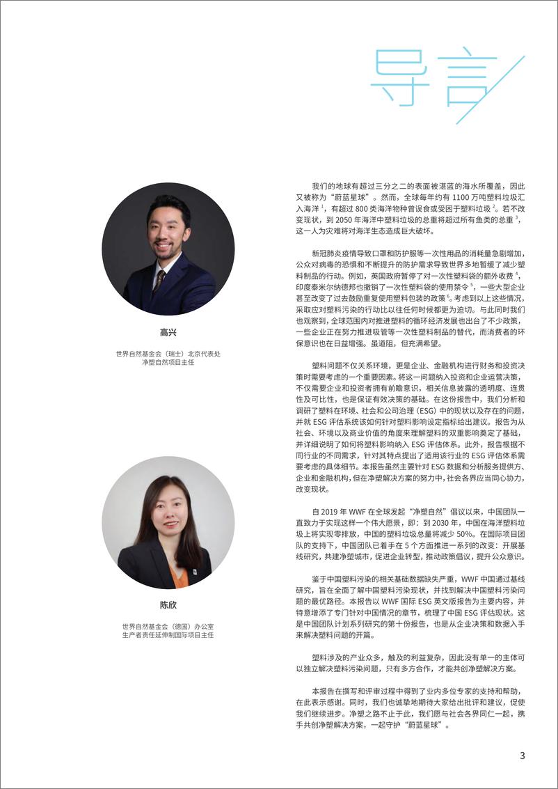 《如何将塑料影响纳入环境、社会和公司治理(ESG)评估体系-WWF-66页》 - 第4页预览图