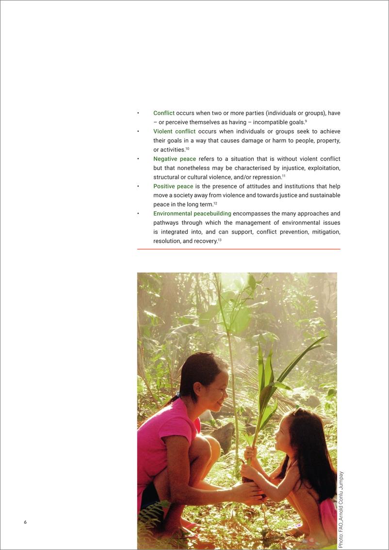 《UNCCD联合国防治荒漠化公约：2024和平森林倡议：通过自然恢复和平与信任报告（英文版）》 - 第6页预览图
