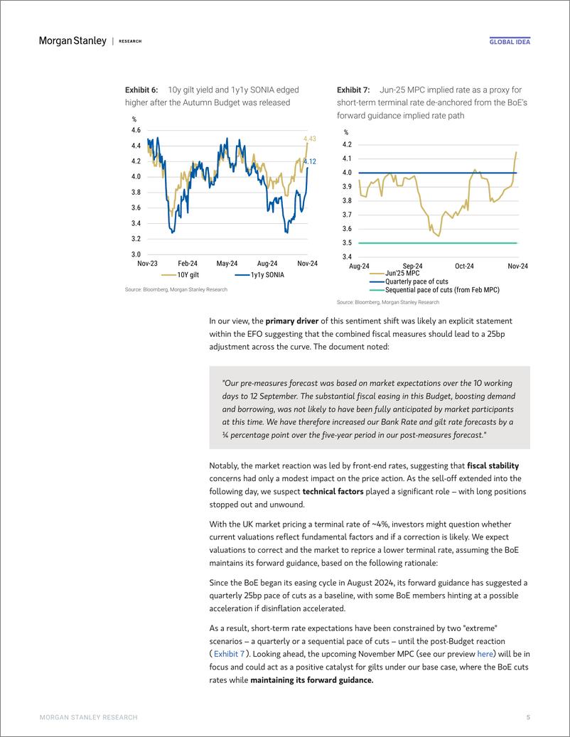 《Morgan Stanley Fixed-Global Macro Strategist Once More Unto the Election-111263177》 - 第5页预览图