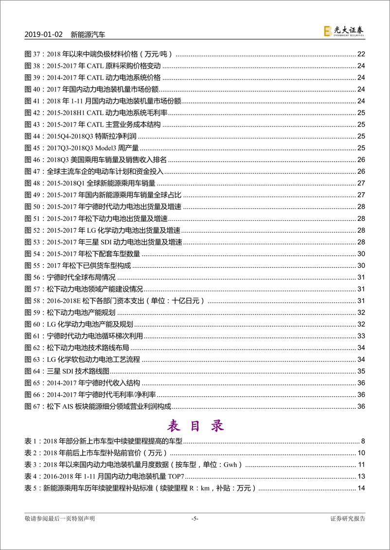 《新能源汽车行业2019年投资策略：龙头引领，全球化来袭-20190102-光大证券-40页》 - 第6页预览图