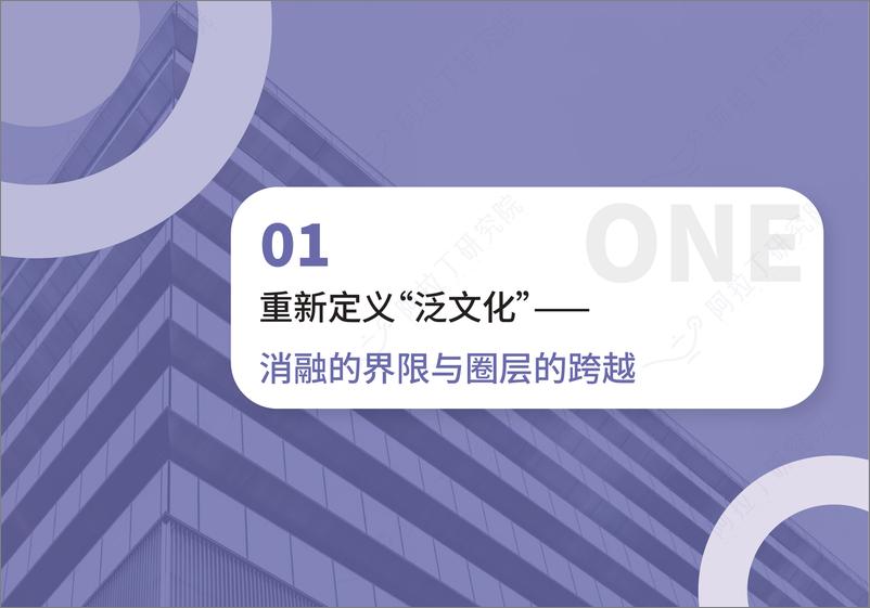 《消融的界限与文明的跨越——泛文化小程序报告-阿拉丁研究院-202204》 - 第6页预览图