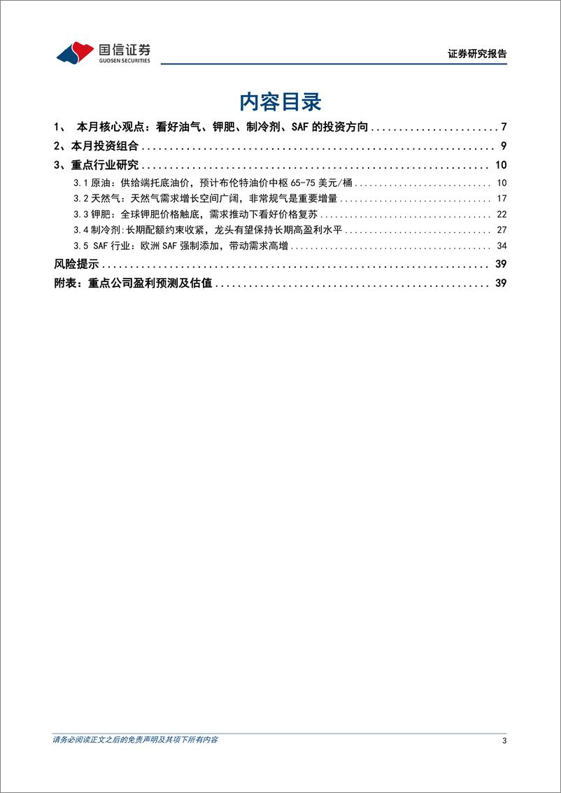 《2025年石化化工行业1月投资策略：看好油气、钾肥、制冷剂、SAF的投资方向-241226-国信证券-41页》 - 第4页预览图