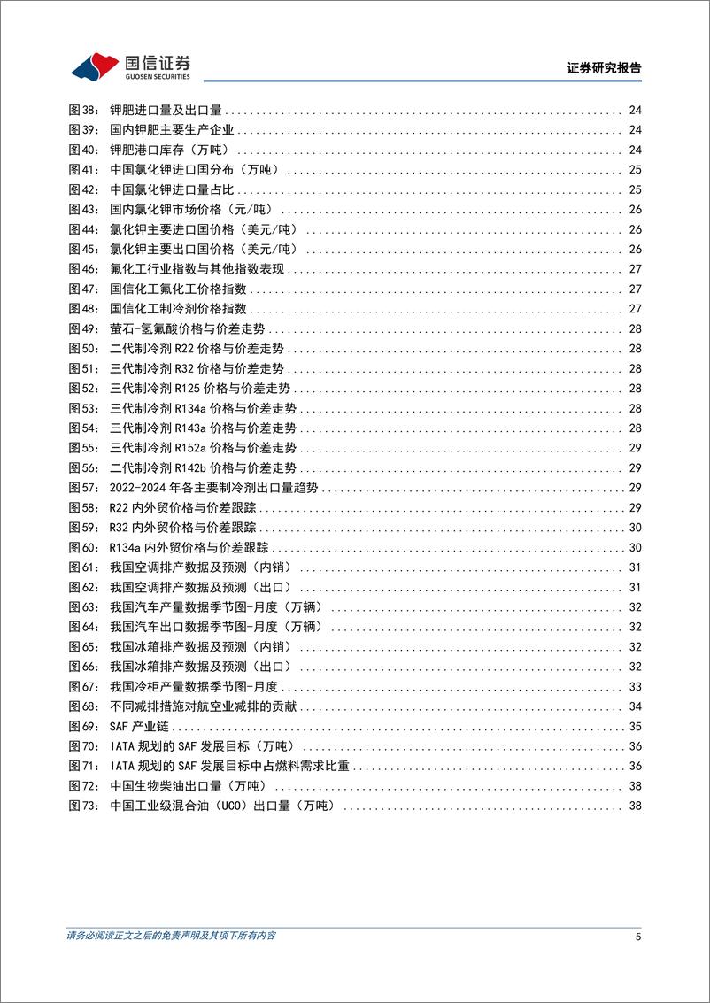 《2025年石化化工行业1月投资策略：看好油气、钾肥、制冷剂、SAF的投资方向-241226-国信证券-41页》 - 第6页预览图