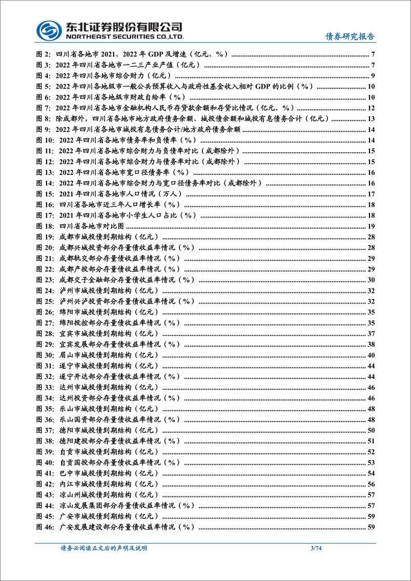 《固收城投债深度报告：一文尽览四川城投-20230529-东北证券-74页》 - 第4页预览图