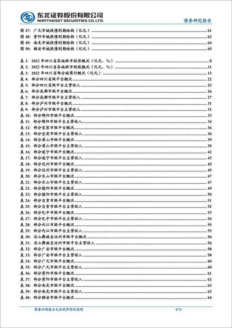 《固收城投债深度报告：一文尽览四川城投-20230529-东北证券-74页》 - 第5页预览图