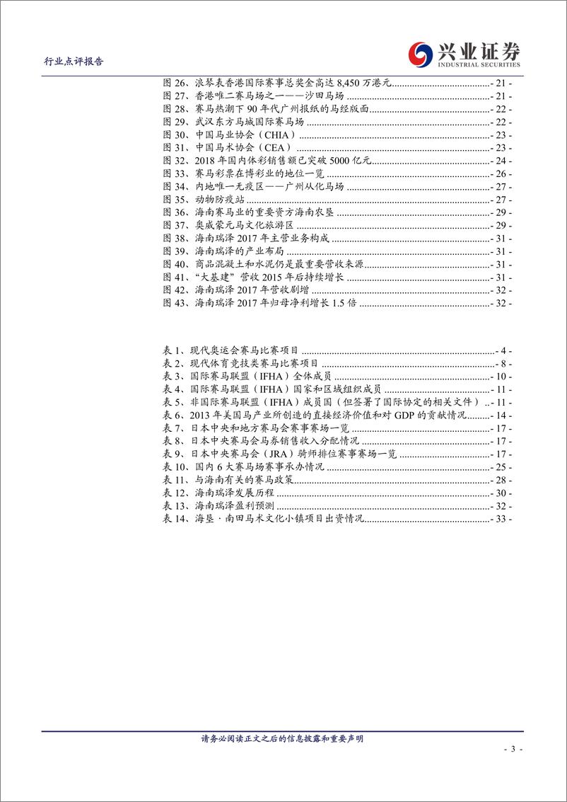 《社会服务行业：国内赛马产业方兴未艾，海南瑞泽重点布局-20190329-兴业证券-34页》 - 第4页预览图