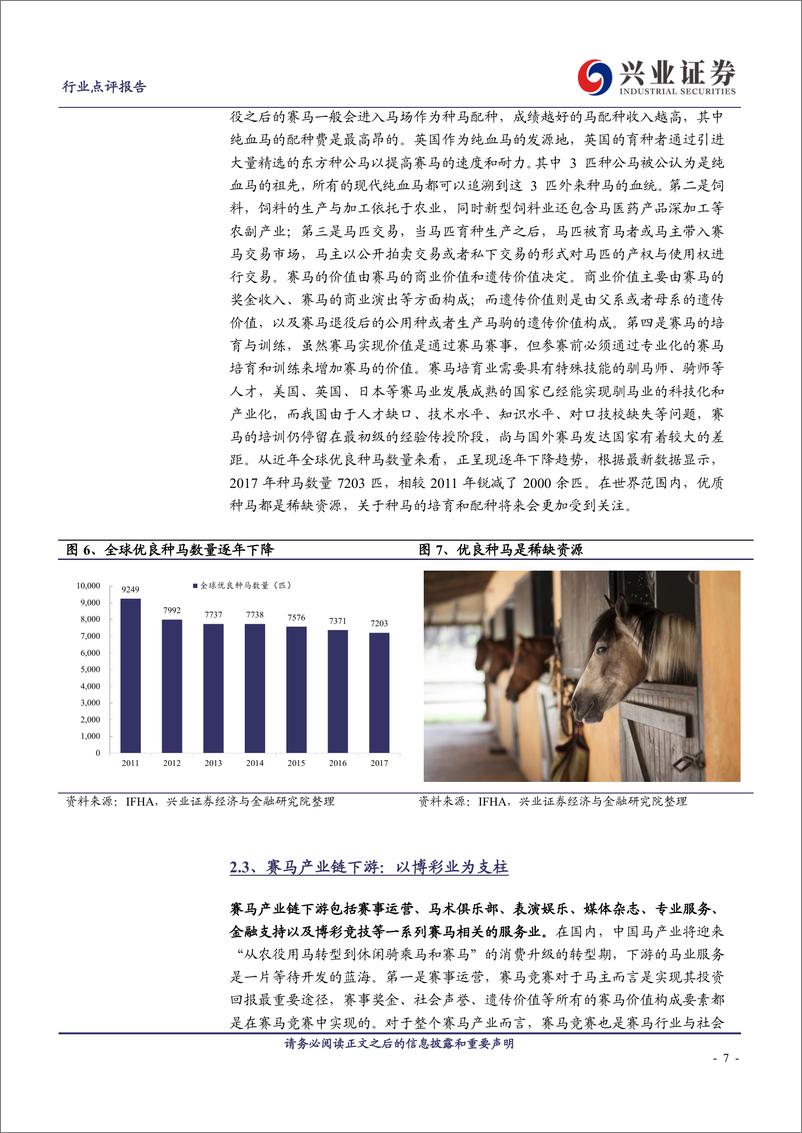 《社会服务行业：国内赛马产业方兴未艾，海南瑞泽重点布局-20190329-兴业证券-34页》 - 第8页预览图