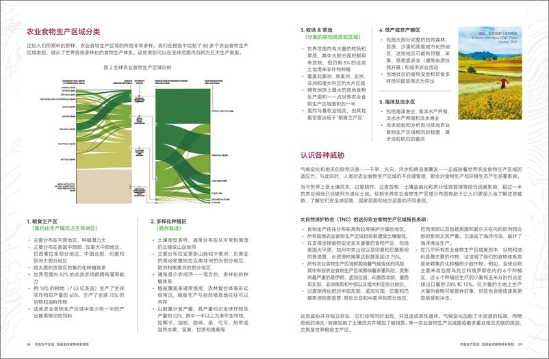 《再生农食生产区 加速全球食物体系转型》 - 第6页预览图