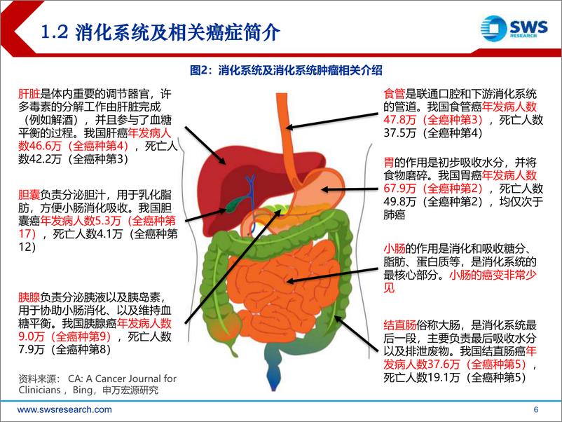 《生物医药行业肿瘤创新药系列报告之四：消化系统肿瘤，介入疗法与新药齐头并进-20191101-申万宏源-99页》 - 第7页预览图