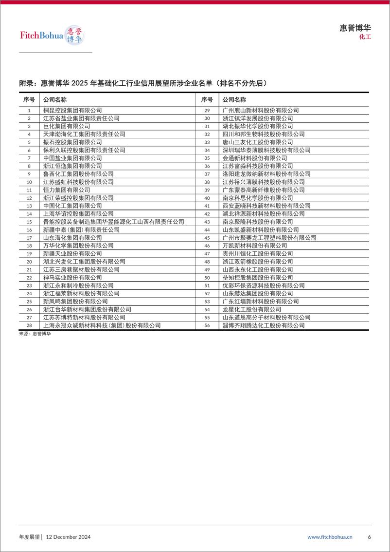 《惠誉博华2025年信用展望：基础化工-7页》 - 第6页预览图