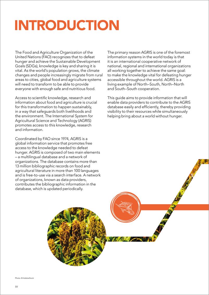 《FAO联合国粮农组织_2024年AGRIS国际农业科学技术信息系统-数据提供方指南_第二版__英文版》 - 第4页预览图