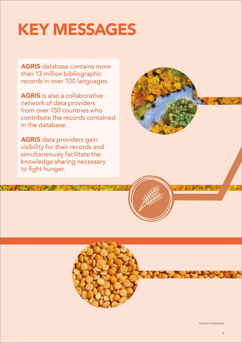 《FAO联合国粮农组织_2024年AGRIS国际农业科学技术信息系统-数据提供方指南_第二版__英文版》 - 第5页预览图