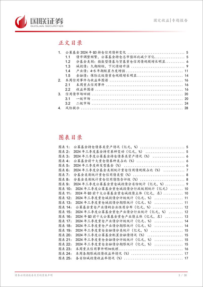 《固定收益专题报告：公募基金持债规模降超万亿-241106-国联证券-31页》 - 第4页预览图