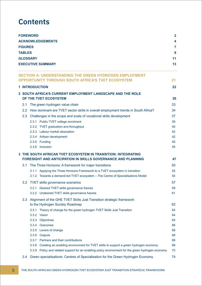 《南非国际事务研究所-南非绿色氢TVET生态系统转型战略框架（英）-2022.12-143页》 - 第6页预览图