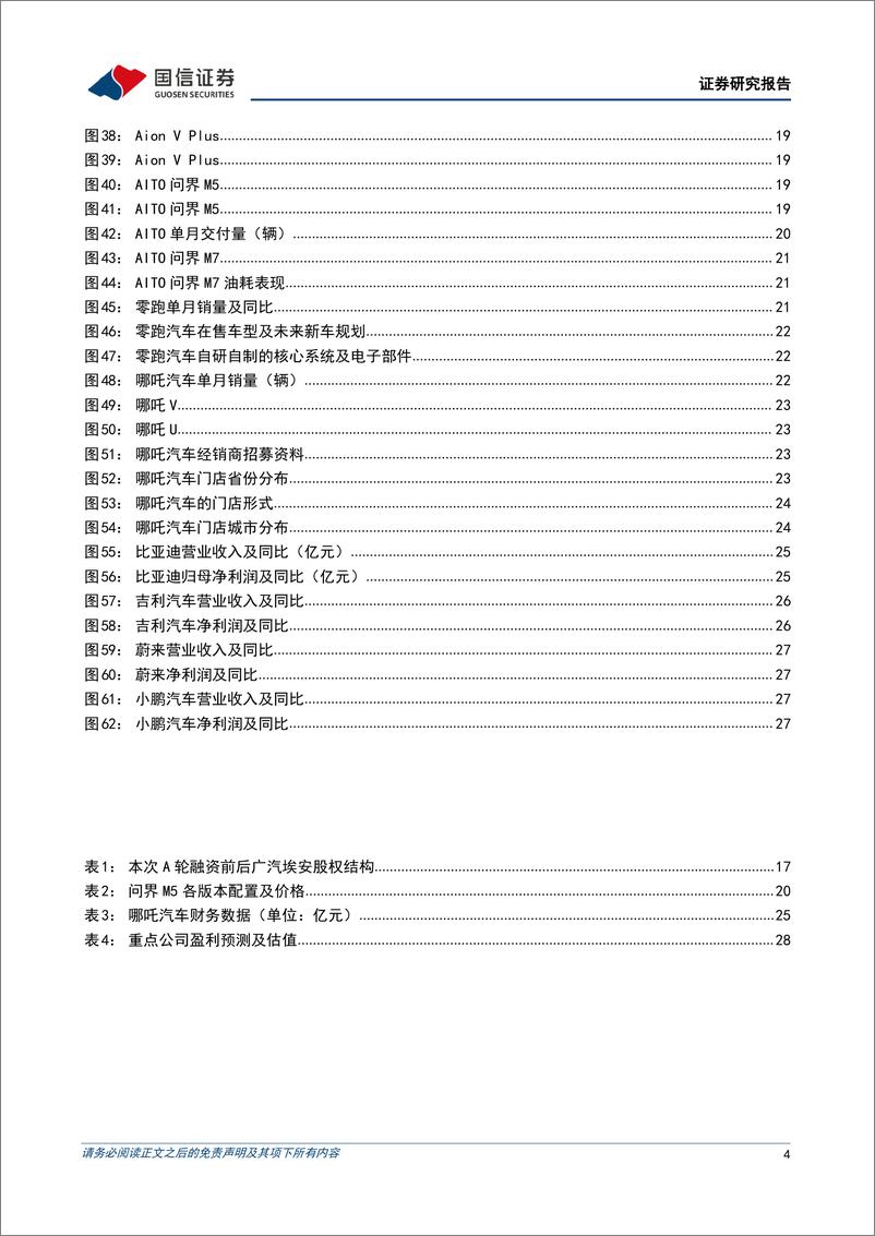 《汽车行业造车新势力系列十七：年底多品牌销量创新高，理想单月交付突破2万-20230104-国信证券-31页》 - 第5页预览图