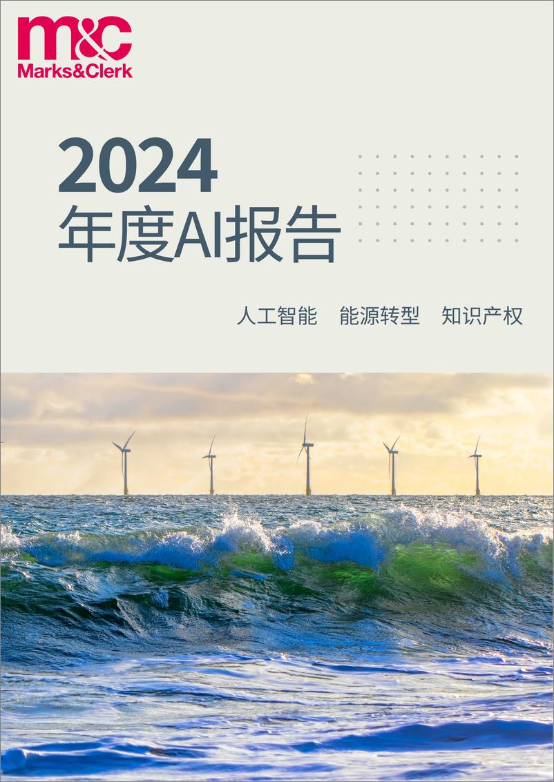 《2024年度AI报告》 - 第1页预览图