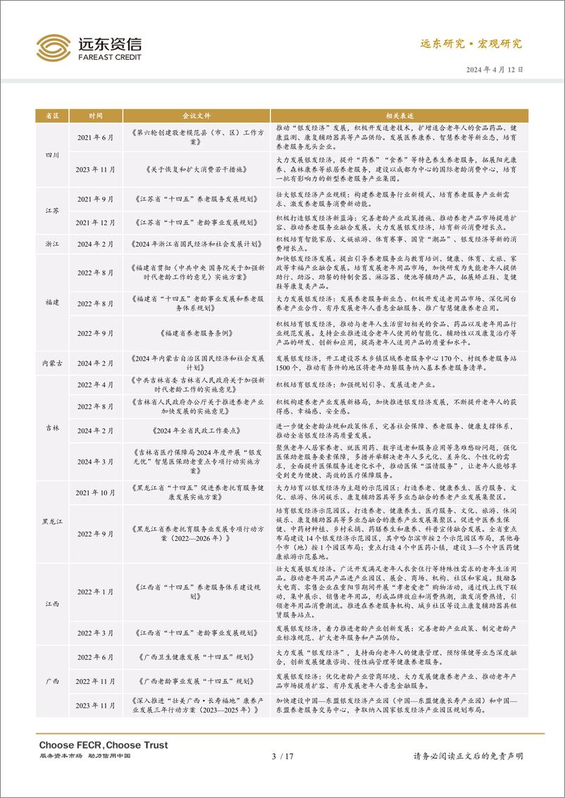 《远东资信：2024年中国银发经济的政策、现状与趋势展望报告》 - 第4页预览图