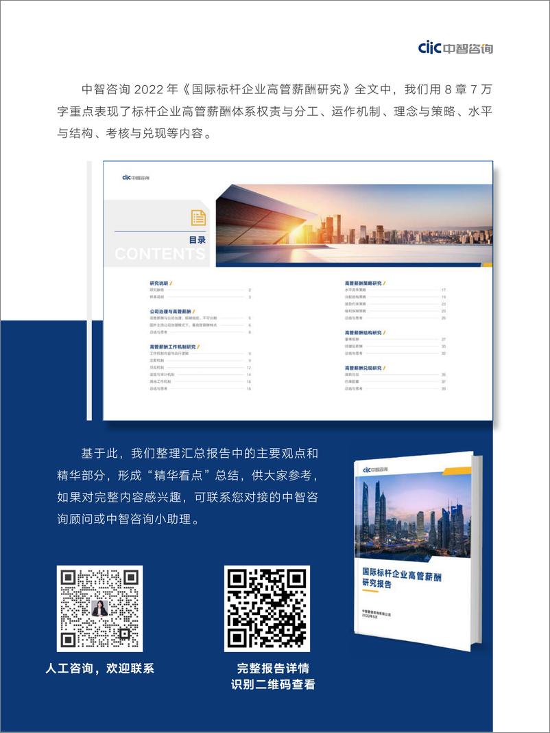 《中智咨询国际标杆企业高管薪酬研究报告精华看点-33页》 - 第4页预览图